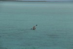 resIMG_20180706_153118_0078.JPG